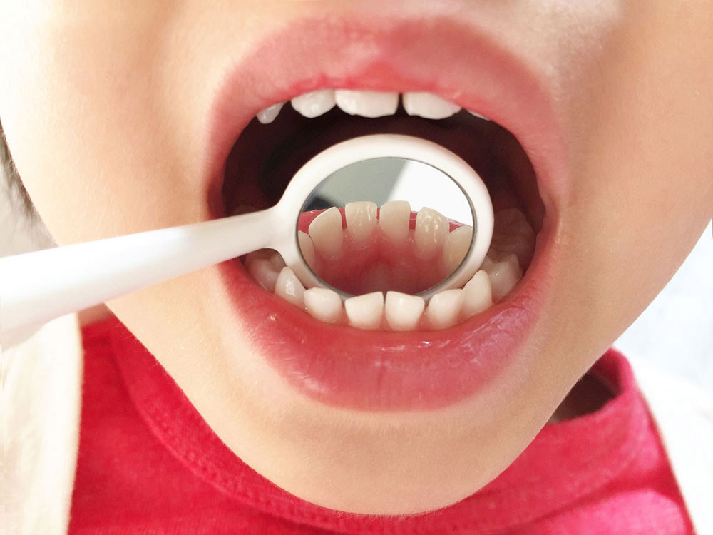 幅広い選択肢のご提案